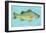 White Perch-John Golden-Framed Art Print