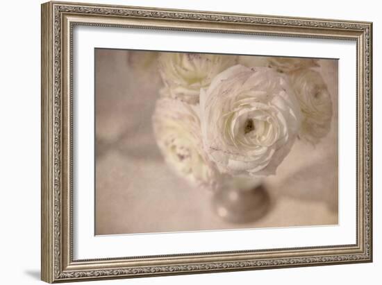 White Persian Buttercup Still Life-Cora Niele-Framed Photographic Print