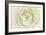 White Persian Buttercup-Cora Niele-Framed Photographic Print