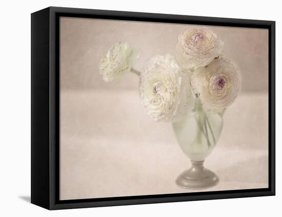 White Persian Buttercups Posy-Cora Niele-Framed Premier Image Canvas