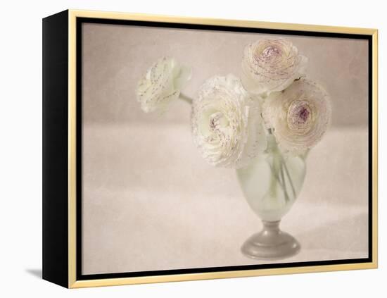 White Persian Buttercups Posy-Cora Niele-Framed Premier Image Canvas