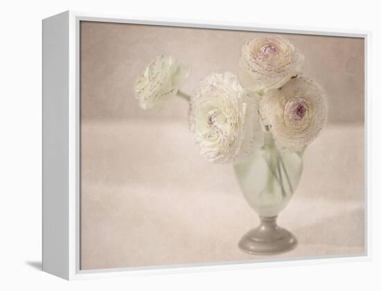 White Persian Buttercups Posy-Cora Niele-Framed Premier Image Canvas