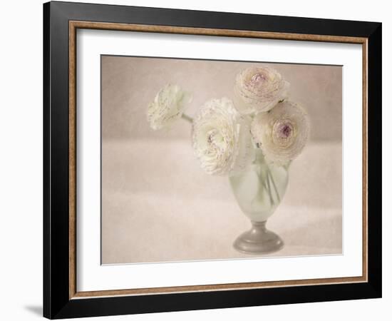 White Persian Buttercups Posy-Cora Niele-Framed Photographic Print