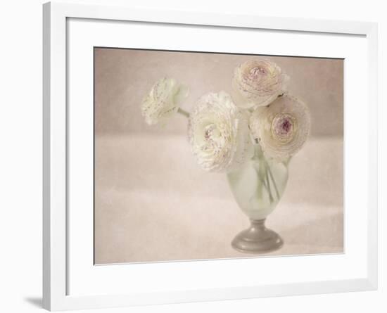 White Persian Buttercups Posy-Cora Niele-Framed Photographic Print