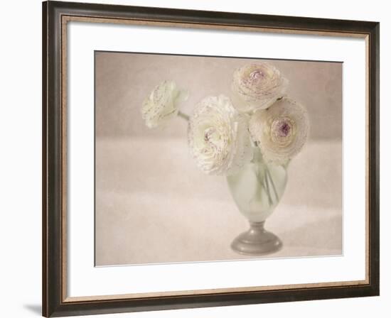 White Persian Buttercups Posy-Cora Niele-Framed Photographic Print