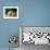 White Persian Cat with Two Kittens-Arthur Heyer-Framed Giclee Print displayed on a wall