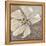 White Petals 1-Walela R.-Framed Stretched Canvas