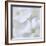 White Phlox-Anna Miller-Framed Photographic Print