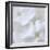 White Phlox-Anna Miller-Framed Photographic Print