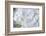 White Phlox-Anna Miller-Framed Photographic Print