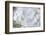 White Phlox-Anna Miller-Framed Photographic Print