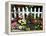 White Picket Fence and Flowers, Sammamish, Washington, USA-Darrell Gulin-Framed Premier Image Canvas