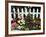 White Picket Fence and Flowers, Sammamish, Washington, USA-Darrell Gulin-Framed Photographic Print