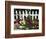 White Picket Fence and Flowers, Sammamish, Washington, USA-Darrell Gulin-Framed Photographic Print