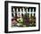 White Picket Fence and Flowers, Sammamish, Washington, USA-Darrell Gulin-Framed Photographic Print