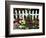 White Picket Fence and Flowers, Sammamish, Washington, USA-Darrell Gulin-Framed Photographic Print