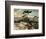 White Pine-A^ J^ Casson-Framed Art Print