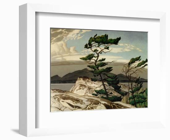 White Pine-A^ J^ Casson-Framed Art Print