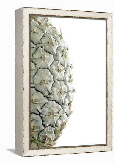 White Pineapple-Neal Grundy-Framed Premier Image Canvas