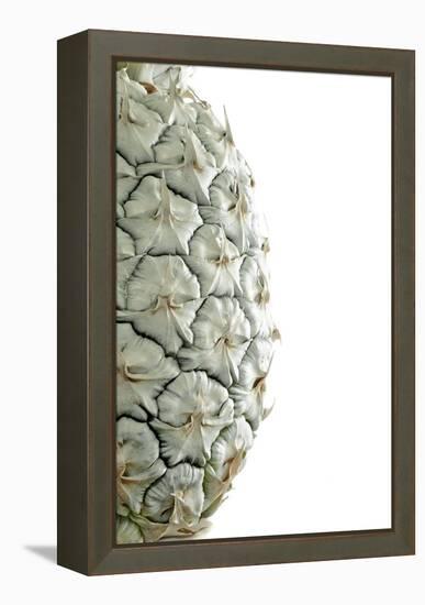 White Pineapple-Neal Grundy-Framed Premier Image Canvas