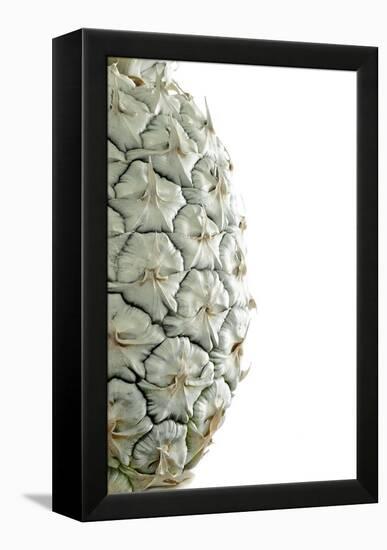 White Pineapple-Neal Grundy-Framed Premier Image Canvas