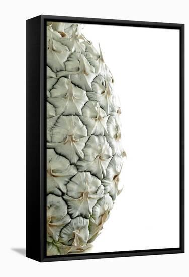 White Pineapple-Neal Grundy-Framed Premier Image Canvas