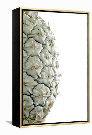 White Pineapple-Neal Grundy-Framed Premier Image Canvas
