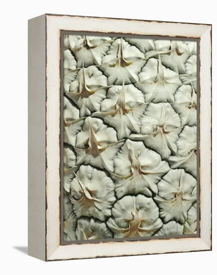 White Pineapple-Neal Grundy-Framed Premier Image Canvas