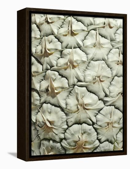 White Pineapple-Neal Grundy-Framed Premier Image Canvas