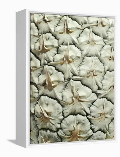 White Pineapple-Neal Grundy-Framed Premier Image Canvas