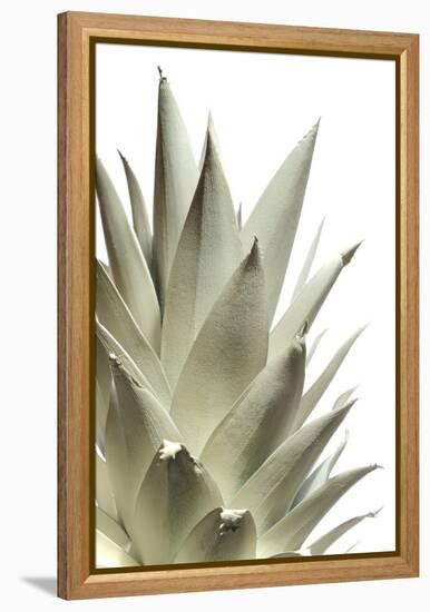 White Pineapple-Neal Grundy-Framed Premier Image Canvas