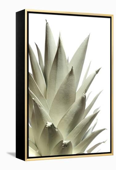 White Pineapple-Neal Grundy-Framed Premier Image Canvas