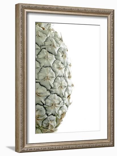 White Pineapple-Neal Grundy-Framed Photographic Print