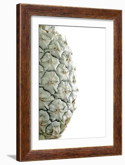 White Pineapple-Neal Grundy-Framed Photographic Print