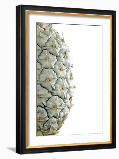 White Pineapple-Neal Grundy-Framed Photographic Print