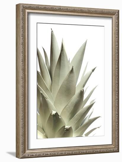 White Pineapple-Neal Grundy-Framed Photographic Print