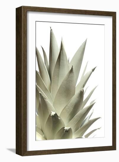 White Pineapple-Neal Grundy-Framed Photographic Print