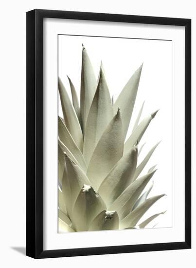 White Pineapple-Neal Grundy-Framed Photographic Print