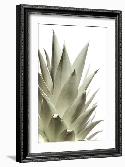 White Pineapple-Neal Grundy-Framed Photographic Print