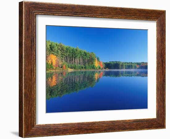 White Pines and Hardwoods, Meadow Lake, New Hampshire, USA-Jerry & Marcy Monkman-Framed Photographic Print