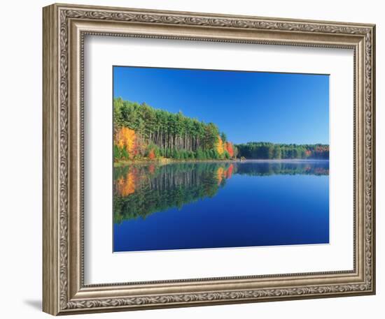 White Pines and Hardwoods, Meadow Lake, New Hampshire, USA-Jerry & Marcy Monkman-Framed Photographic Print