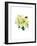 White Poinsettia, 2014-John Keeling-Framed Giclee Print