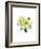 White Poinsettia, 2014-John Keeling-Framed Giclee Print