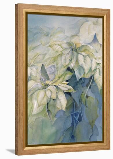 White Poinsettia-Karen Armitage-Framed Premier Image Canvas