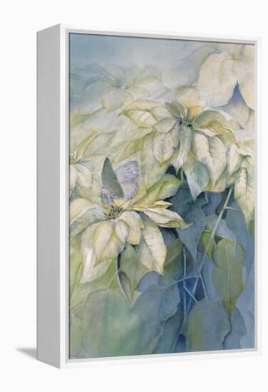 White Poinsettia-Karen Armitage-Framed Premier Image Canvas