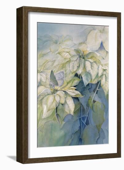 White Poinsettia-Karen Armitage-Framed Giclee Print