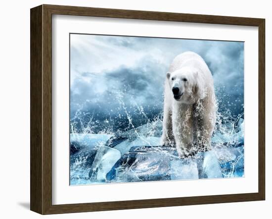 White Polar Bear Hunter On The Ice In Water Drops-yuran-78-Framed Photographic Print