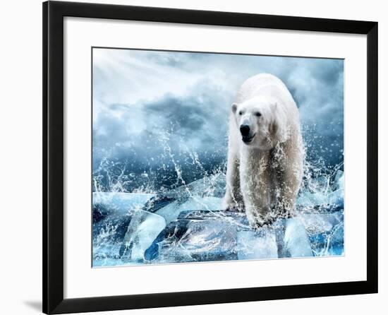 White Polar Bear Hunter On The Ice In Water Drops-yuran-78-Framed Photographic Print