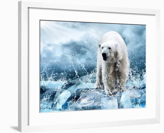 White Polar Bear Hunter On The Ice In Water Drops-yuran-78-Framed Photographic Print