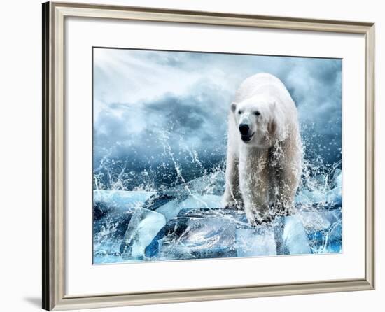 White Polar Bear Hunter On The Ice In Water Drops-yuran-78-Framed Photographic Print